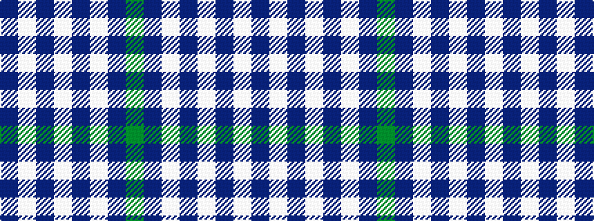 idealised woven sample of pattern BWBWBWBG