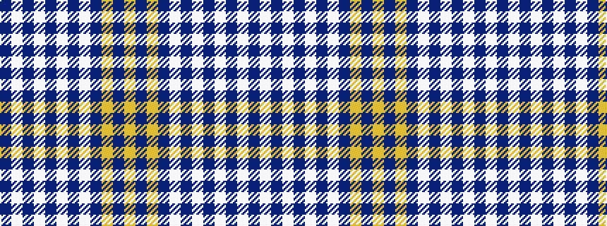 idealised woven sample of pattern BWBWBWBWBYBY