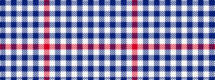 idealised woven sample of pattern BWBWBWBWR