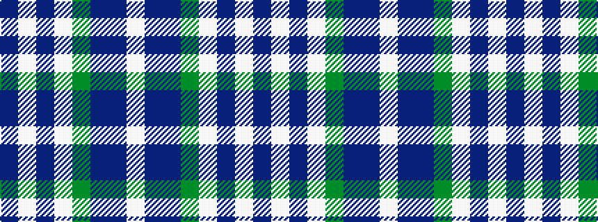 idealised woven sample of pattern BWBWGBBW