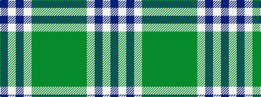 idealised woven sample of pattern BWBWGGGG
