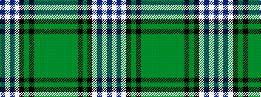 idealised woven sample of pattern BWBWKGKGGGGG