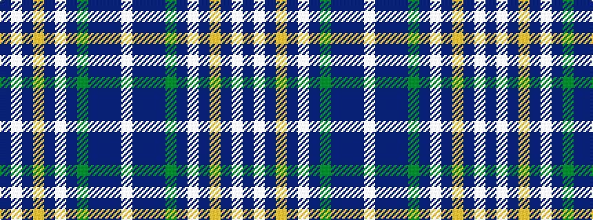 idealised woven sample of pattern BWBYBWBGBBBW