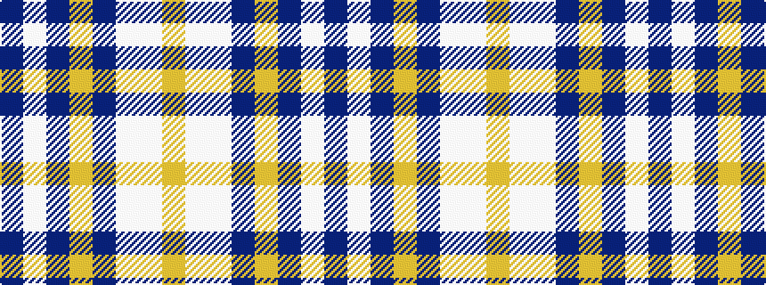 idealised woven sample of pattern BWBYBWWY