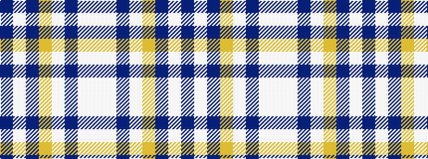 idealised woven sample of pattern BWBYWBWW