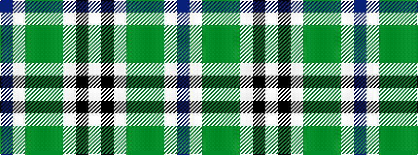 idealised woven sample of pattern BWGGGWKW