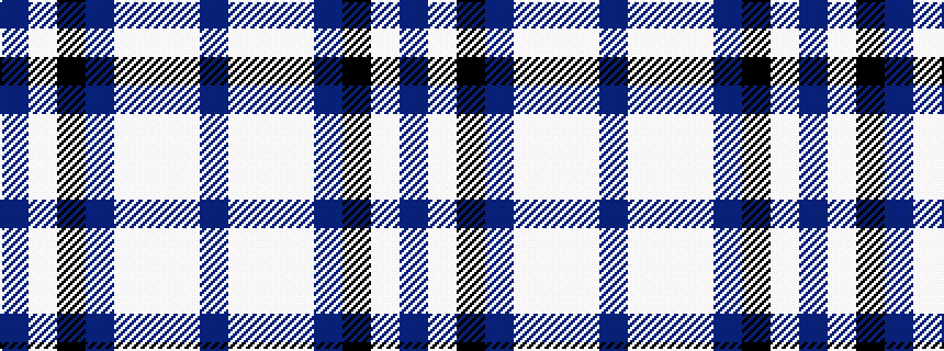idealised woven sample of pattern BWKBWWWB