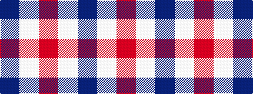 idealised woven sample of pattern BWR