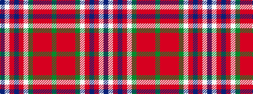 idealised woven sample of pattern BWRBRWGRRRRG