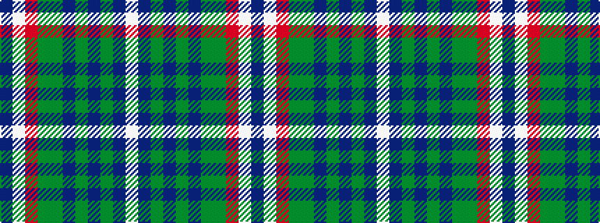 idealised woven sample of pattern BWRGGBGBGBW