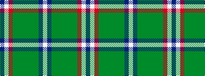 idealised woven sample of pattern BWRGGGGGGBW