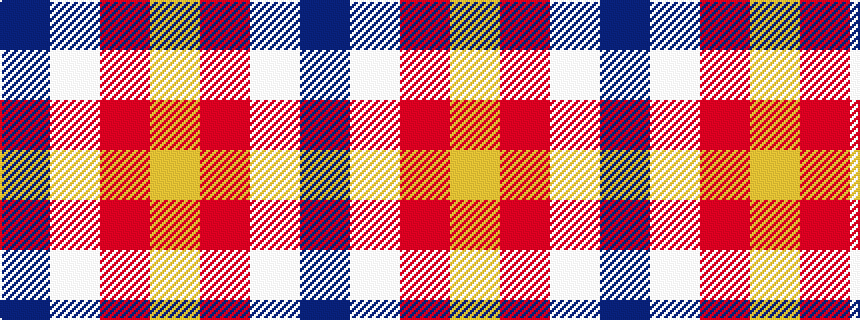 idealised woven sample of pattern BWRY