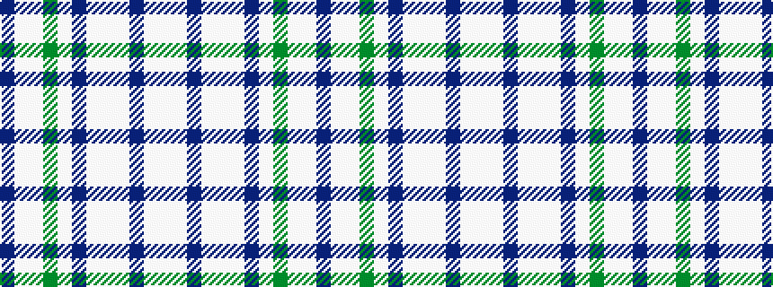 idealised woven sample of pattern BWWGWBWWWBWW