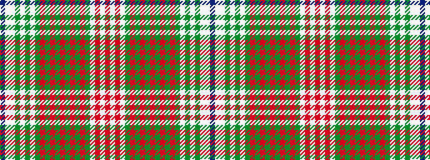 idealised woven sample of pattern BWWGWGWGRGRGRGRGRGWRWR