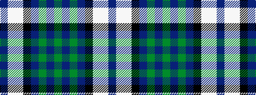 idealised woven sample of pattern BWWKBGBG