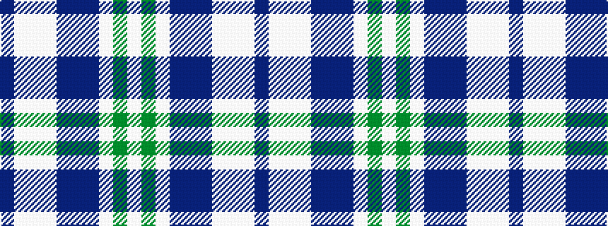 idealised woven sample of pattern BWWWBBBWGW