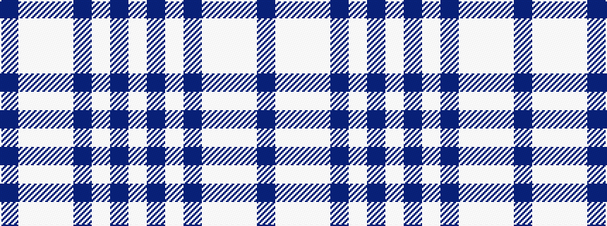 idealised woven sample of pattern BWWWBWBW