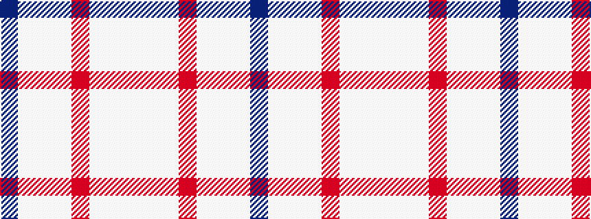 idealised woven sample of pattern BWWWRWWW