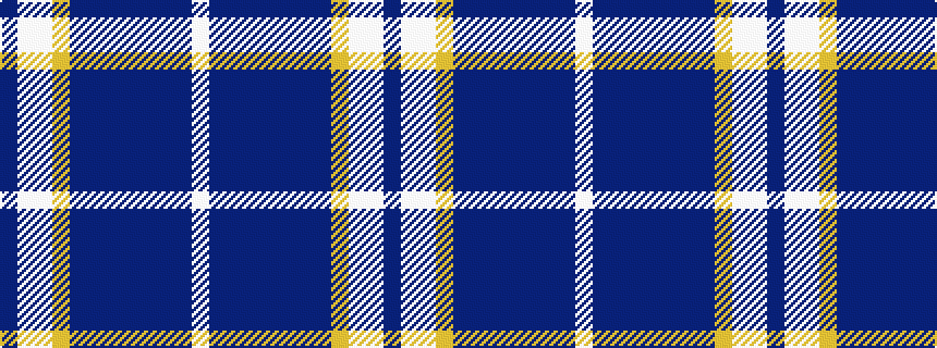 idealised woven sample of pattern BWWYBBBBBBBW