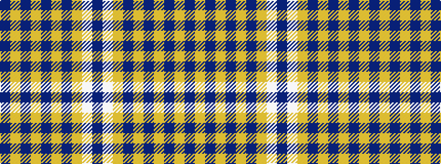 idealised woven sample of pattern BWYBYBYBYB