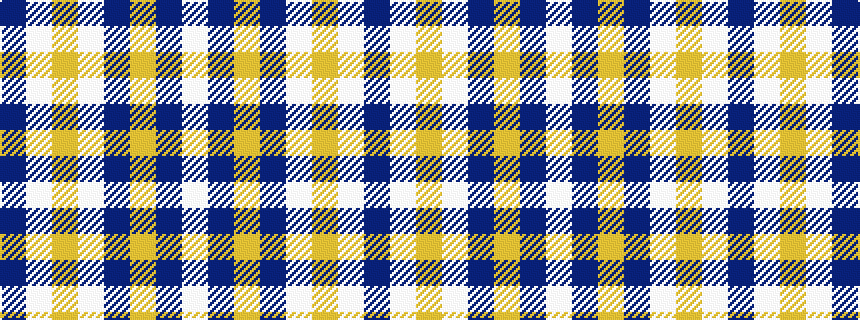idealised woven sample of pattern BWYWBYBW