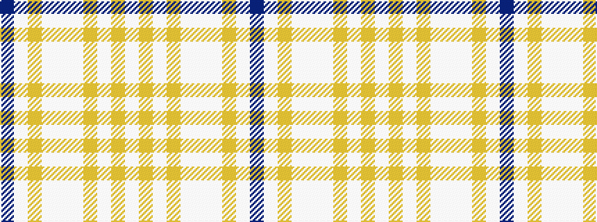 idealised woven sample of pattern BWYWWWYWYW