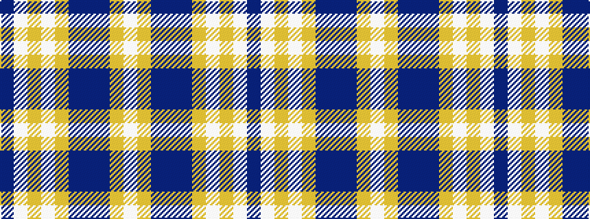 idealised woven sample of pattern BWYWYBBBYW