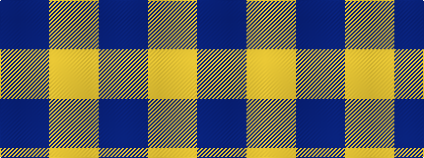 idealised woven sample of pattern BY