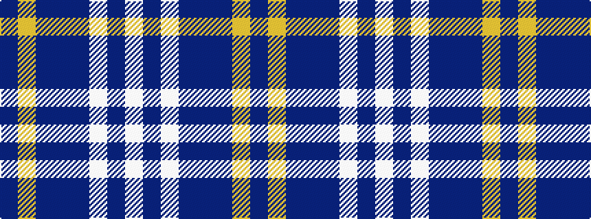idealised woven sample of pattern BYBBBWBW