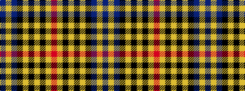idealised woven sample of pattern BYBKYKYKYR