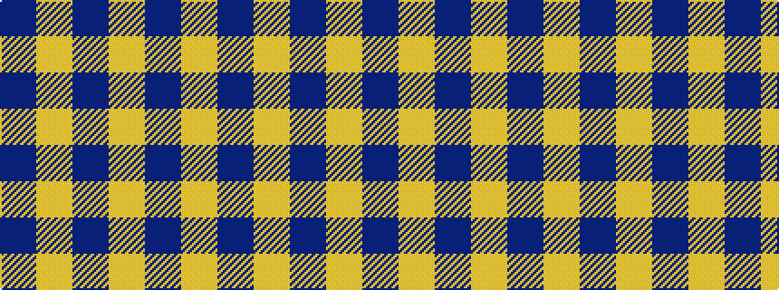 idealised woven sample of pattern BYBYB