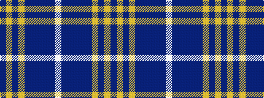 idealised woven sample of pattern BYBYBBBBBW