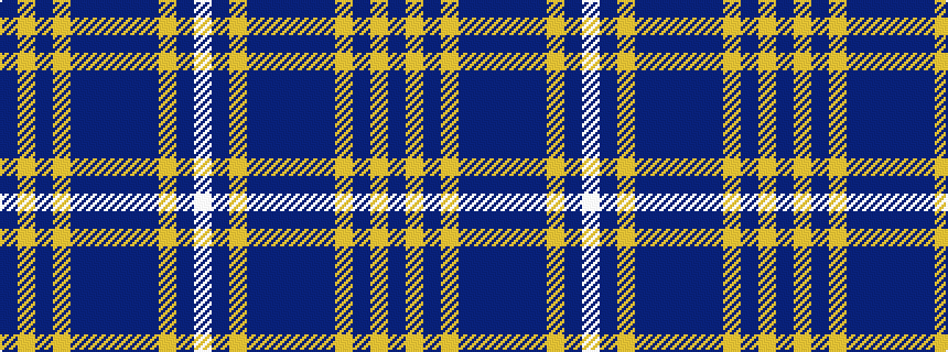 idealised woven sample of pattern BYBYBBBBBYBW