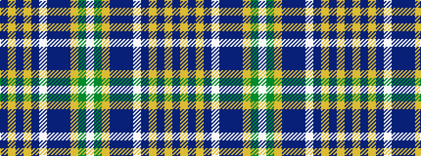 idealised woven sample of pattern BYBYBWBBBYGW