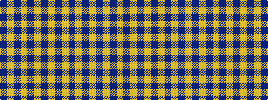 idealised woven sample of pattern BYBYBYBYB