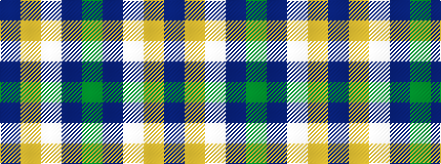 idealised woven sample of pattern BYWBG