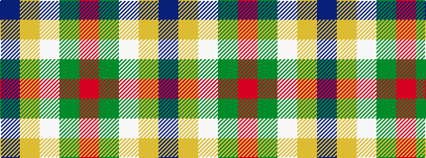 idealised woven sample of pattern BYWGR