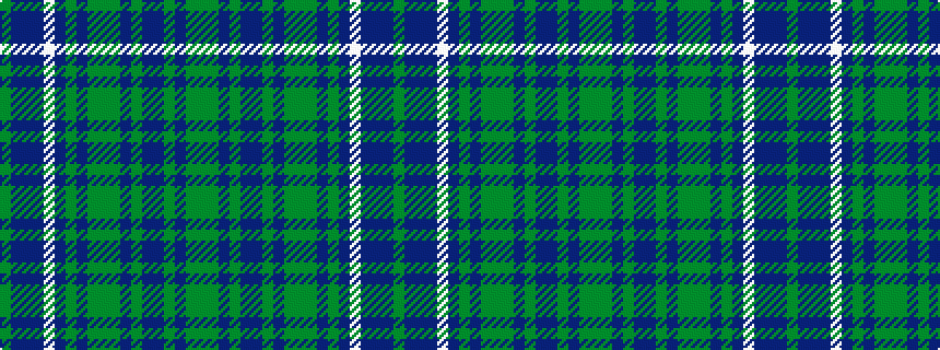 idealised woven sample of pattern GBBBWBGBGGGBGBBGBGG