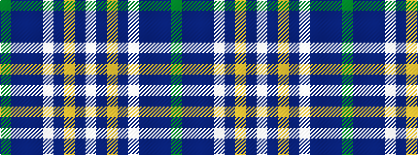 idealised woven sample of pattern GBBBWBYBW