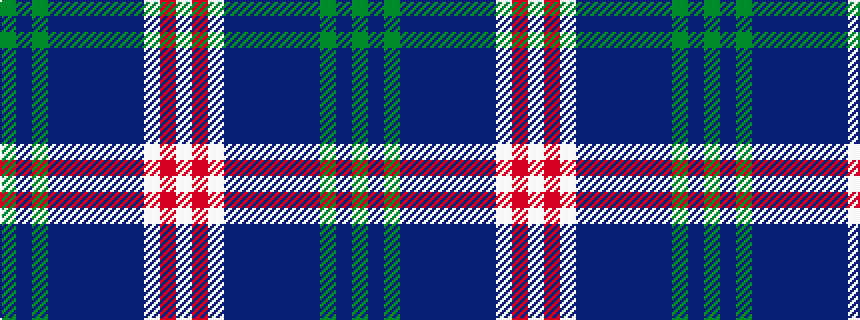 idealised woven sample of pattern GBGBBBBBBWRW