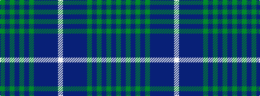 idealised woven sample of pattern GBGBGBGBBBBBW