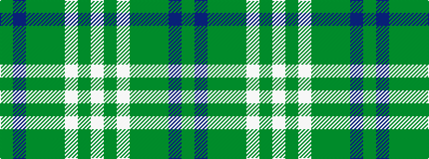 idealised woven sample of pattern GBGGGWGW