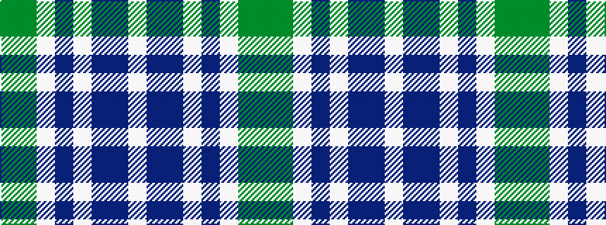 idealised woven sample of pattern GGWBWBBW