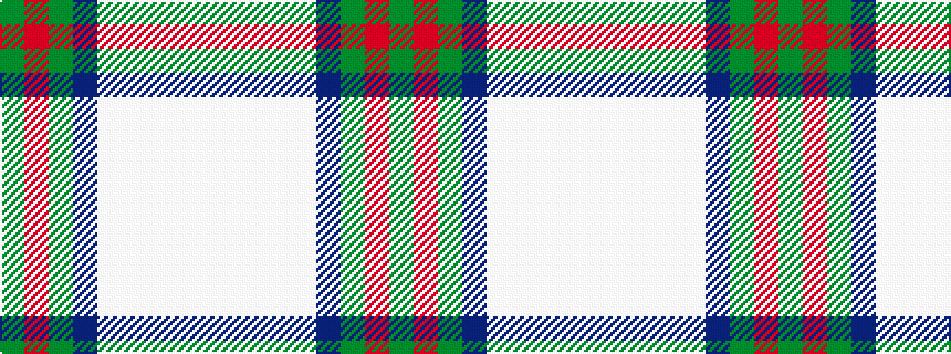 idealised woven sample of pattern GRGBWWWWW