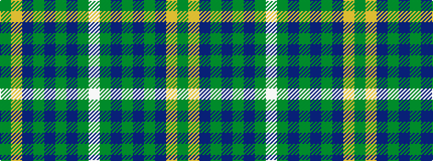 idealised woven sample of pattern GYBGBGBGW