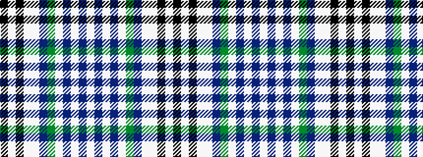 idealised woven sample of pattern KWKWWBGWBWBW