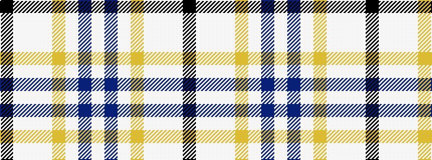 idealised woven sample of pattern KWWWYWBW