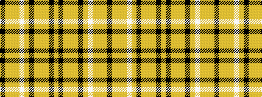 idealised woven sample of pattern KYYYWYKYYYKY