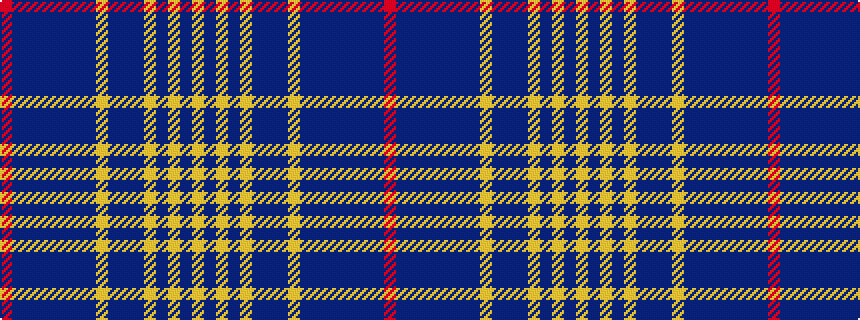idealised woven sample of pattern RBBBBBBBYBBBYBYBY