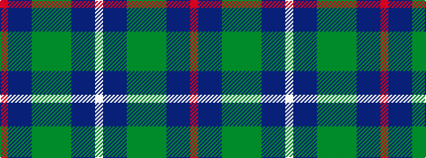 idealised woven sample of pattern RBBBGGGGGBBBW
